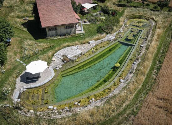 Baumann Gartenbau Ppondy